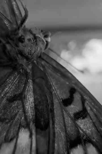 Additional Works Poster