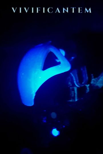 Vivificantem
