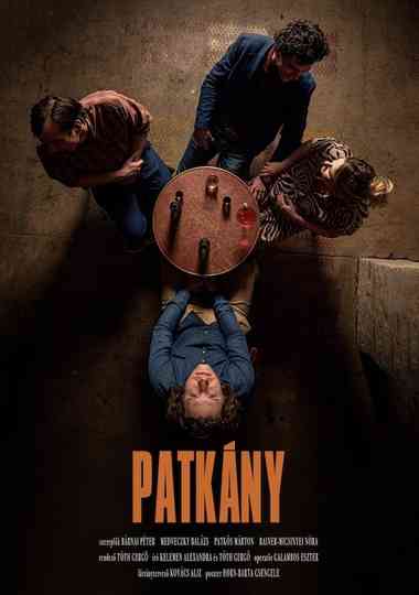 Patkány Poster