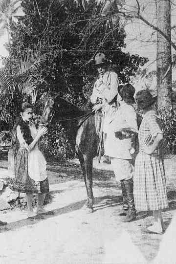 O Destino das Rosas Poster