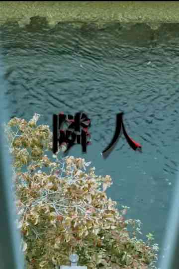 The Neighbors Poster