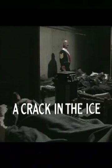 A Crack in the Ice