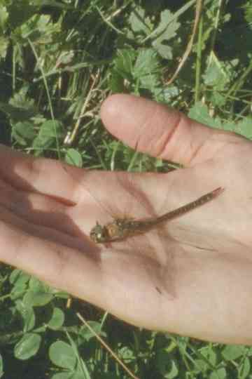 The Water Was Here Poster