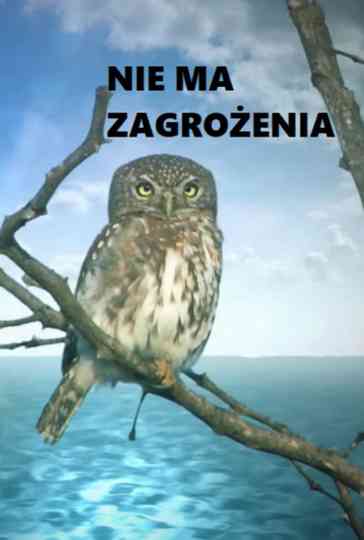 Nie ma zagrożenia Poster