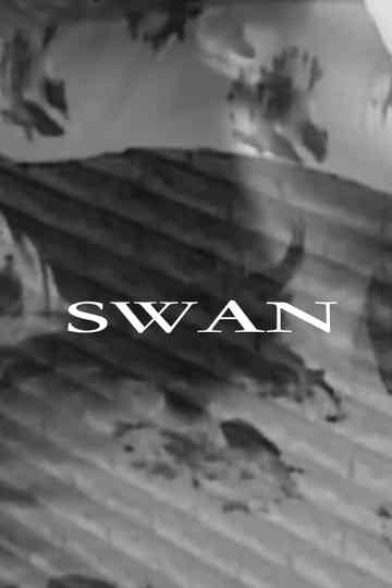 Swan Poster