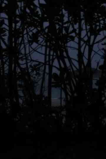 From the Void of Time Poster