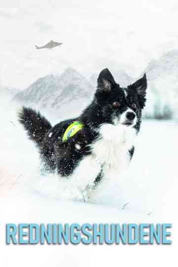 Redningshundene Poster