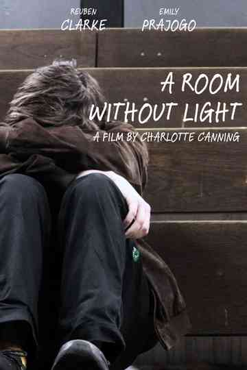 A Room Without Light Poster