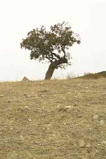 Any Time in October Poster