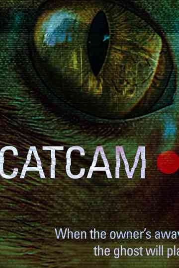 Cat Cam Poster