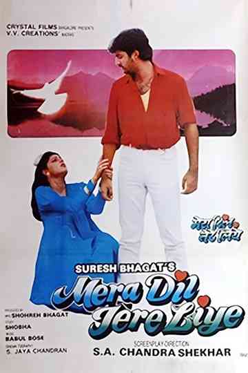 Mera Dil Tere Liye Poster