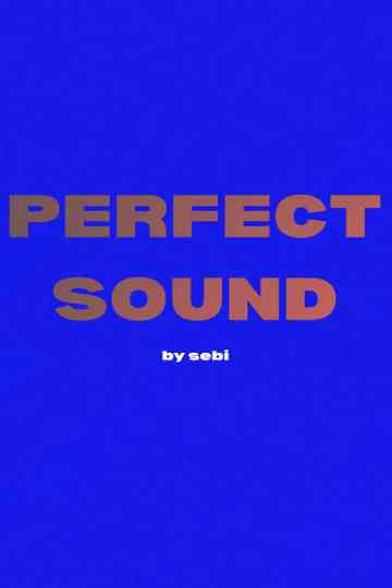 Perfect Sound Poster