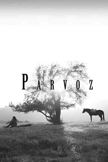 Parvoz Poster