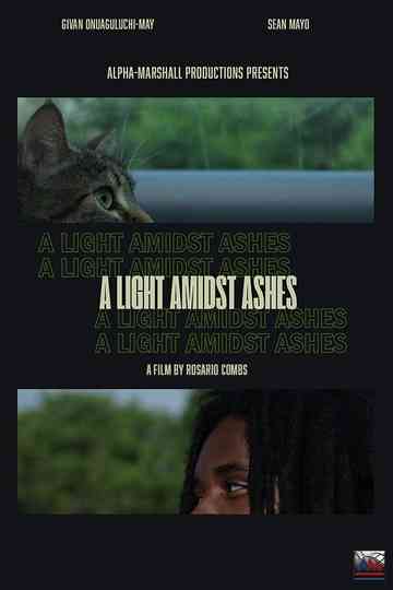 A Light Amidst Ashes Poster