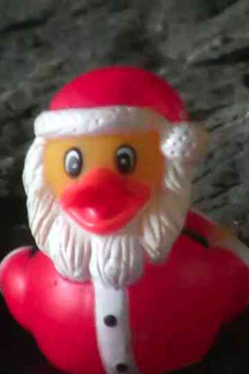 Duck Santa Poster