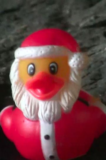Duck Santa