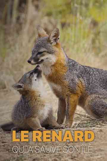 Le renard qui a sauvé son île Poster