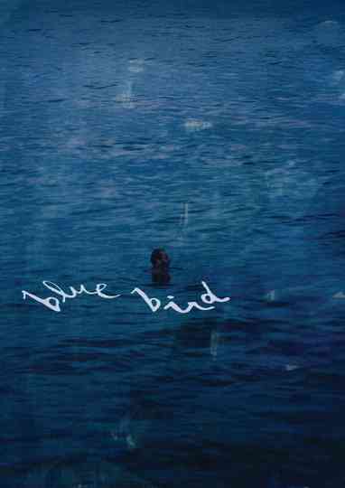 Blue Bird Poster