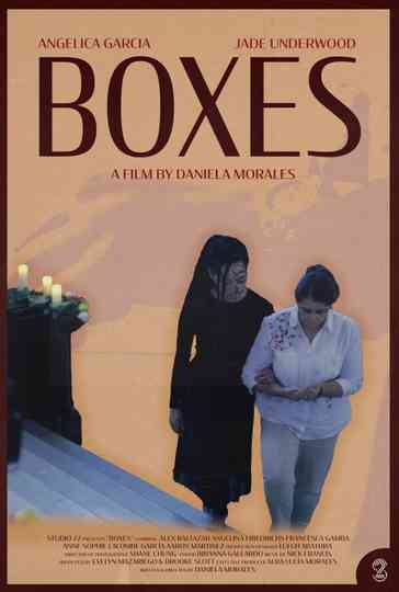 Boxes Poster