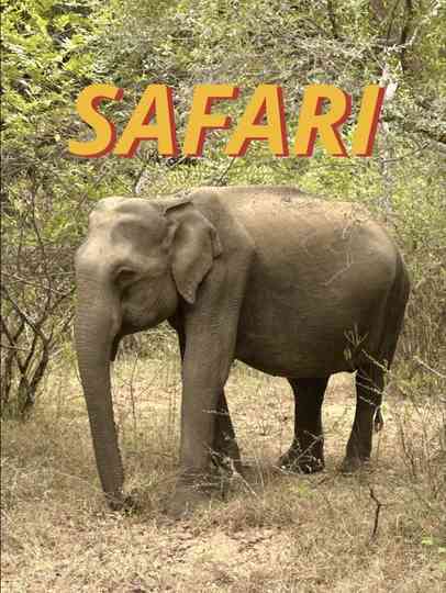 Safari Poster