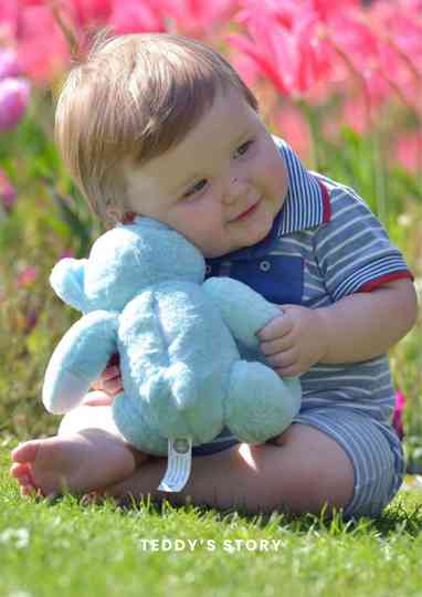 Teddy's Story Poster