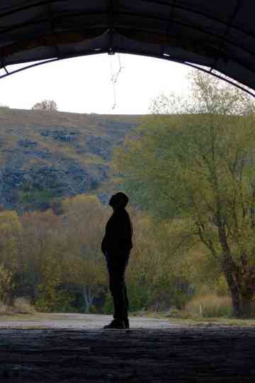 As You Wanted Poster