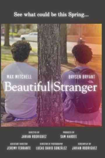 Beautiful Stranger Poster