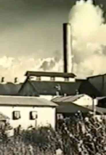 Kahuku: Survival of a Plantation Town Poster