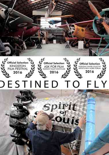 Destined to Fly Poster