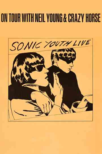Sonic Youth: Live in 1991 Poster