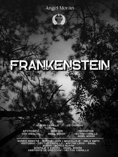 Frankenstein The Creature Poster