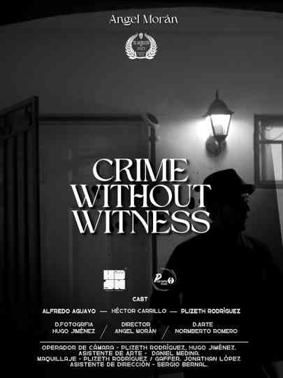 Crime Without Witness Poster