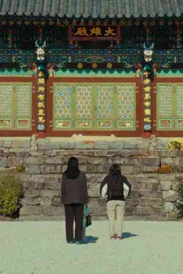 The Mountain Between Us Poster