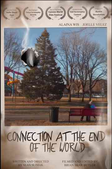 Connection At The End Of The World Poster
