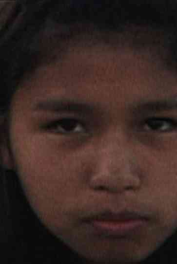 The Amendment Poster