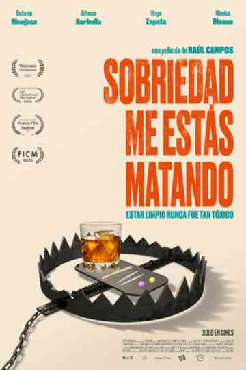 Dear Sobriety: You're Killing Me Poster