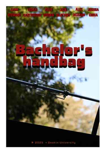 Bachelors Handbag Poster
