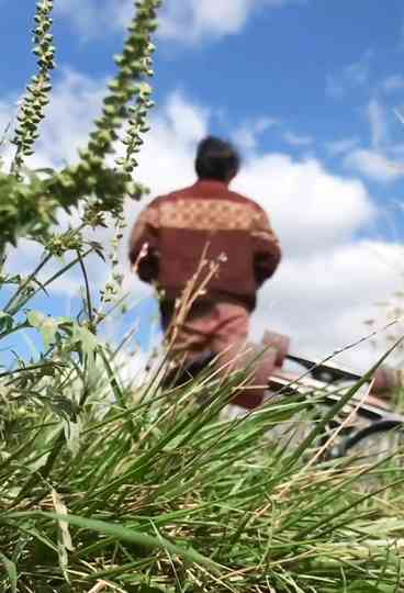 Just skateboarding Poster