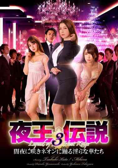 Legend of the Night King 3 poster