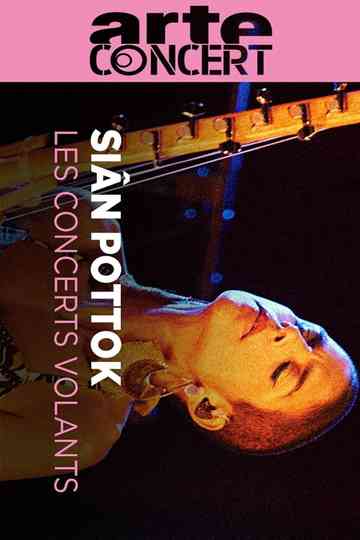 Siân Pottok @ Journeys Through Music Poster