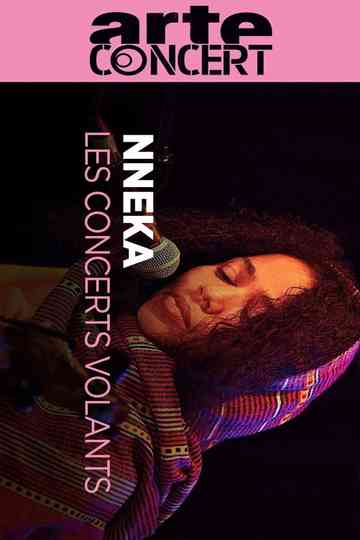 Nneka @ Journeys Through Music Poster