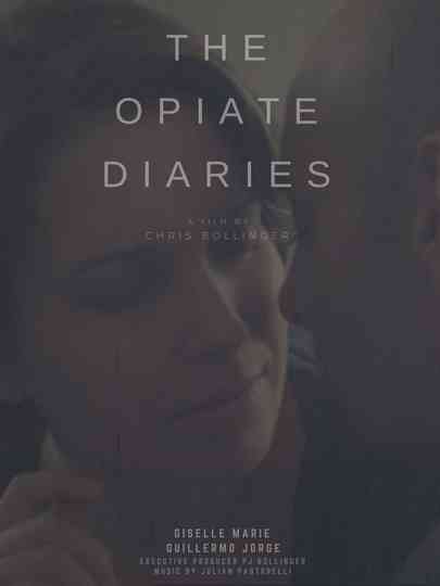 The Opiate Diaries Poster
