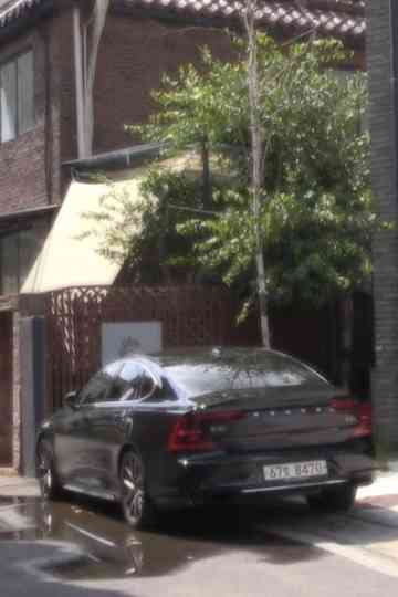 Tree Above Volvo Poster