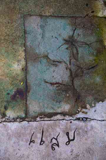 Vanishing Echoes Poster