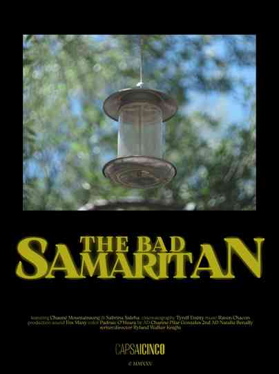 The Bad Samaritan Poster