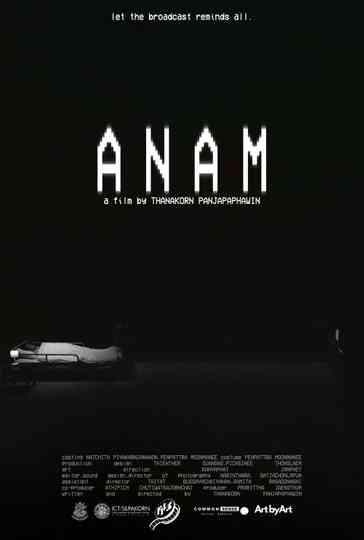 ANAM Poster