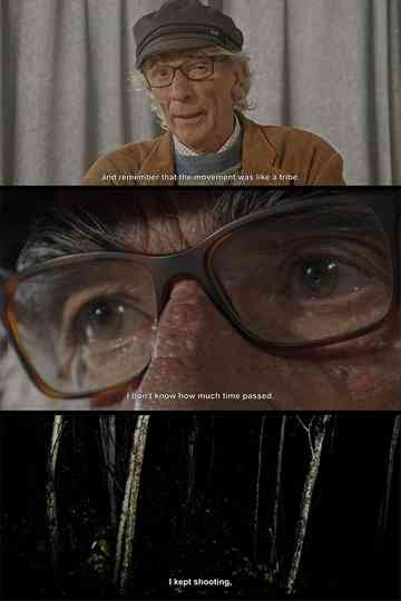 Despite The Facts Poster