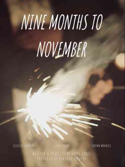 Nine Months to November Poster