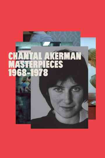 A New Way of Seeing: B. Ruby Rich on Chantal Akerman Poster