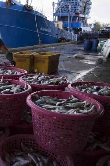 Supermarket slave trail Poster